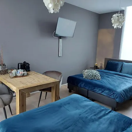 Bed & Breakfast Bed&wellness Boxtel, 4 Persoonskamer Met Eigen Badkamer
